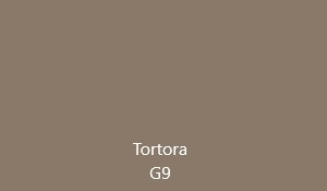 Tortora G9